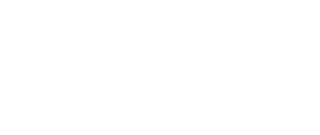 Shopify partner