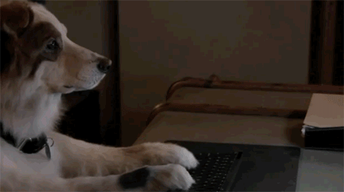 dogtyping