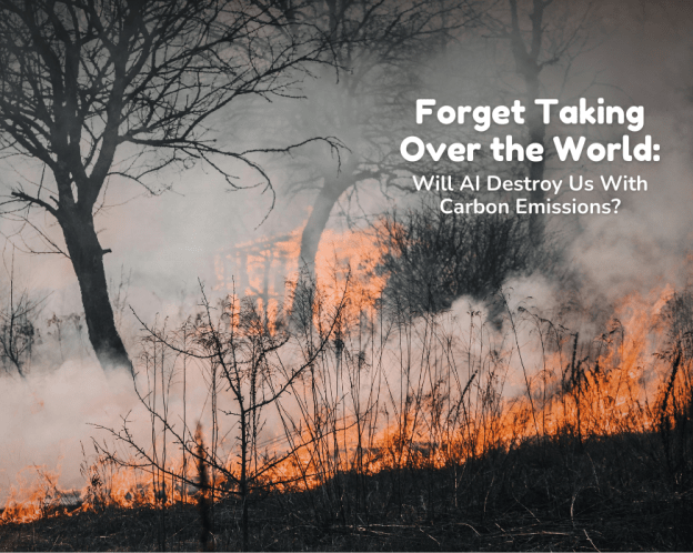 a burning forest